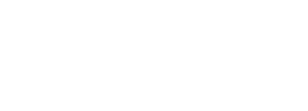 GNEFFIN Logo